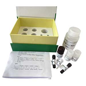 抗壞血酸氧化酶(AAO)測試盒/微量法主圖